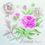 Étude à la Pivoine - Lin