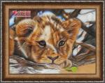 Little lion