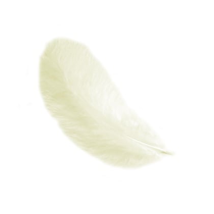 Plumes 12 cm: Jaune clair