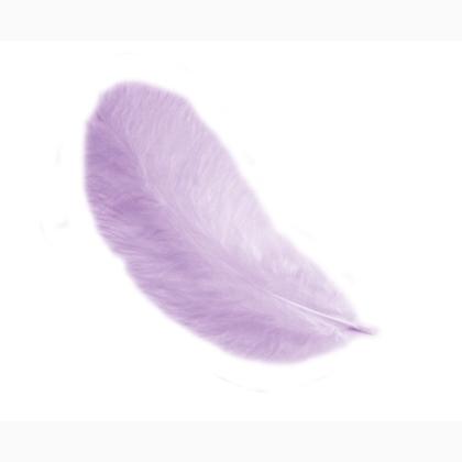 Plumes 12 cm: Lilas