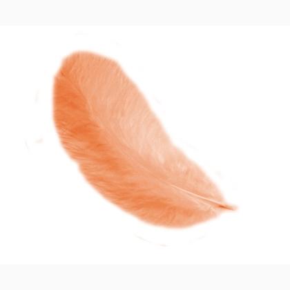 Plumes 12 cm: Orange