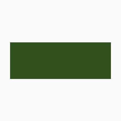 Couleur Acrylique opaque - Vert foret - 200ml.
