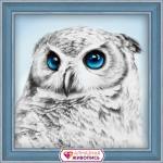 Owl's Look
