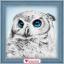 Owl's Look