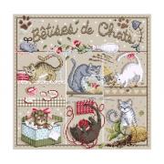 Bêtises de Chats
