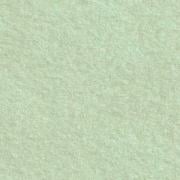 Feutrine Vert Pastel