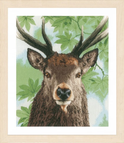 Proud Red Deer