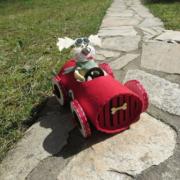 Doggie Car 1