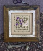 Sweet Violet