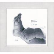 Little Baby Foot