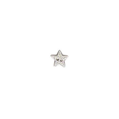 Bouton Silver Disco Star, Small