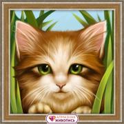Green-eyed kitten