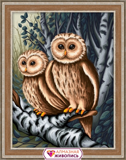 Owls on the Hunt
