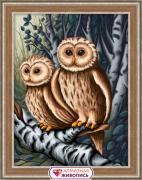 Owls on the Hunt