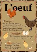La cuisson de l'oeuf