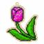 Tulipe