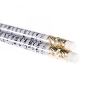 Crayon éco APLIQUICK ®™