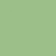 Solid Fern Green