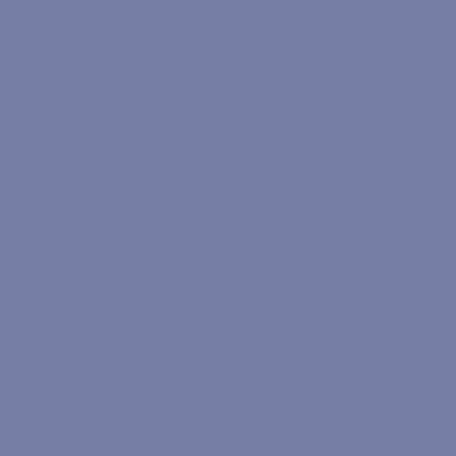 Solid Lupine