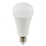 Lumière du jour ampoule 15W LED Daylight