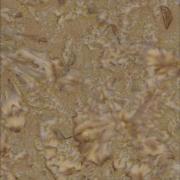 Batik - Dust