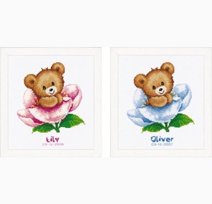 Sampler de naissance - Cute Bear