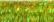 015L Laser Lime Kreinik Ribbon (1/8")