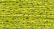 Treasure Petite: pb83 - Wild Lime