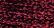 Treasure Petite: pb88 - Madeira Red