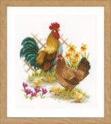 Chicken Family