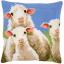 Coussin : Curious Sheep