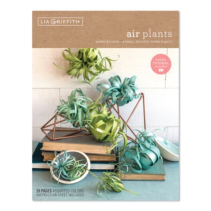Kit Épiphyte papier glacé