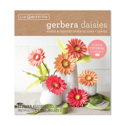 Kit Gerbera papier glacé