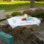 Centre de table - Songbirds