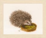 Hedgehog