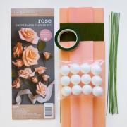 Kit Roses de papier crépon
