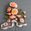 Kit Roses de papier crépon