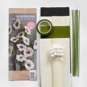 Kit Anémone de papier crépon