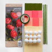 Kit Pivoine de papier crépon