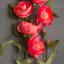 Kit Pivoine de papier crépon