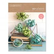 Kit Épiphyte papier glacé