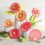 Kit Gerbera papier glacé