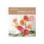 Kit Gerbera papier glacé