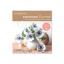 Kit Anémones papier glacé