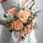 Kit papier crépon - Chèvrefeuille/Corail & Apricot/Rose