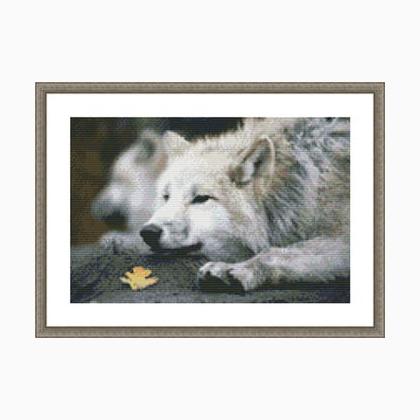 Lounging Wolf