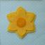 Narcisse jaune