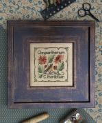 Texas Bluebonnet - Chrysanthemum