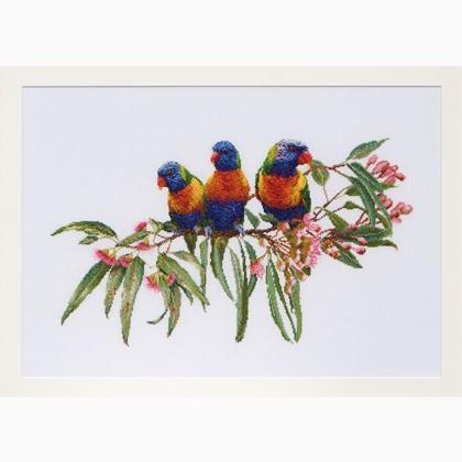 Lorikeets