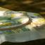 Printemps dans le jardin